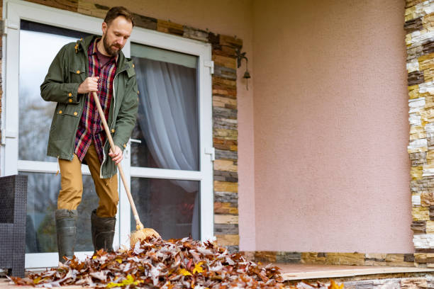 Best Junk Removal Near Me  in Clovis, NM